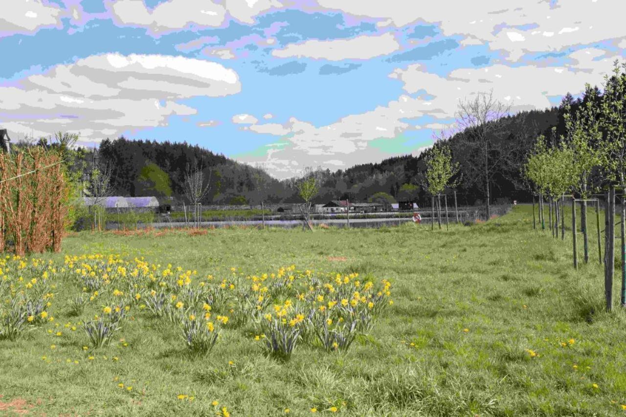 Ferienhaus Salmtal Himmerod Grosslittgen Luaran gambar