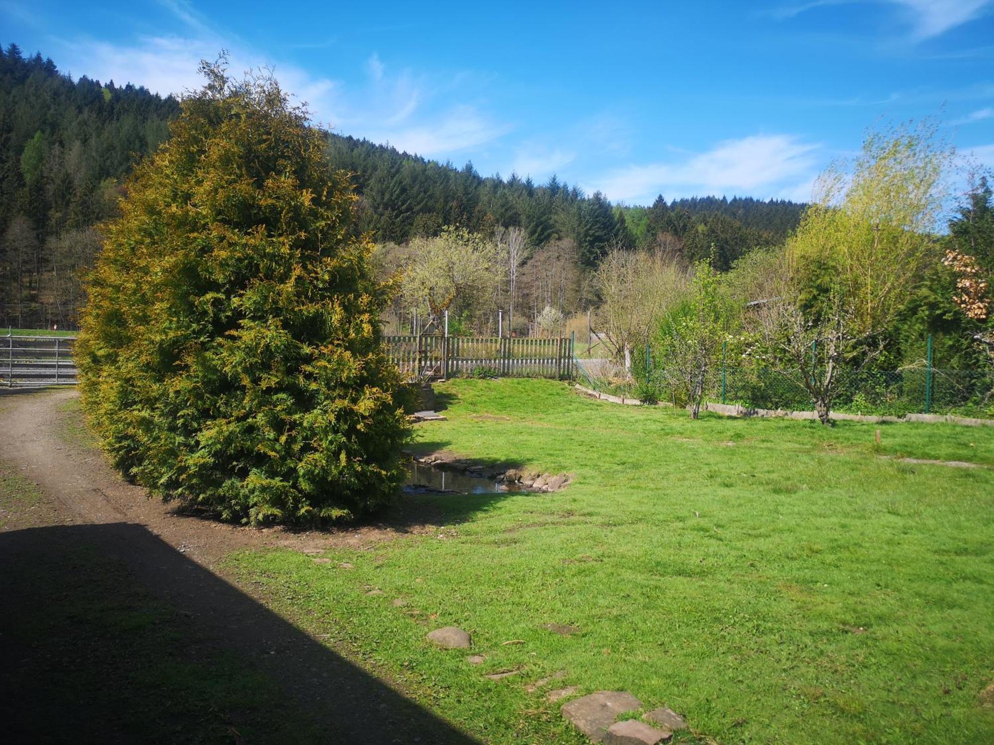 Ferienhaus Salmtal Himmerod Grosslittgen Luaran gambar