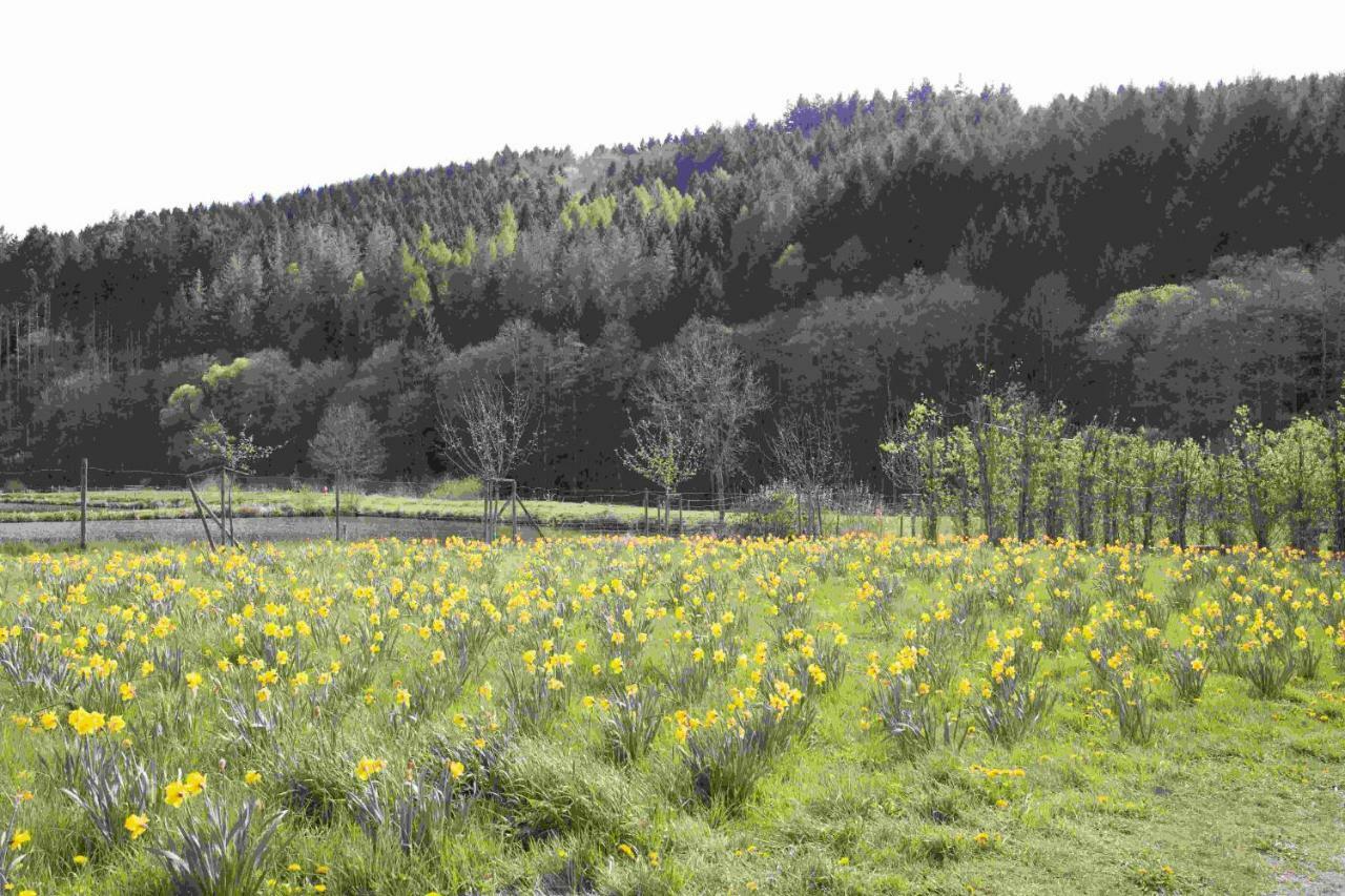 Ferienhaus Salmtal Himmerod Grosslittgen Luaran gambar