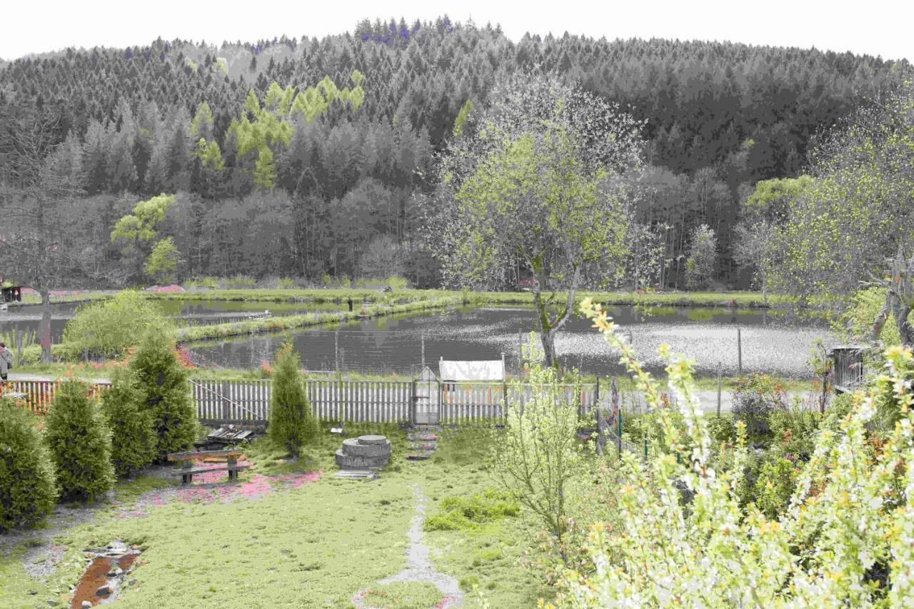 Ferienhaus Salmtal Himmerod Grosslittgen Luaran gambar