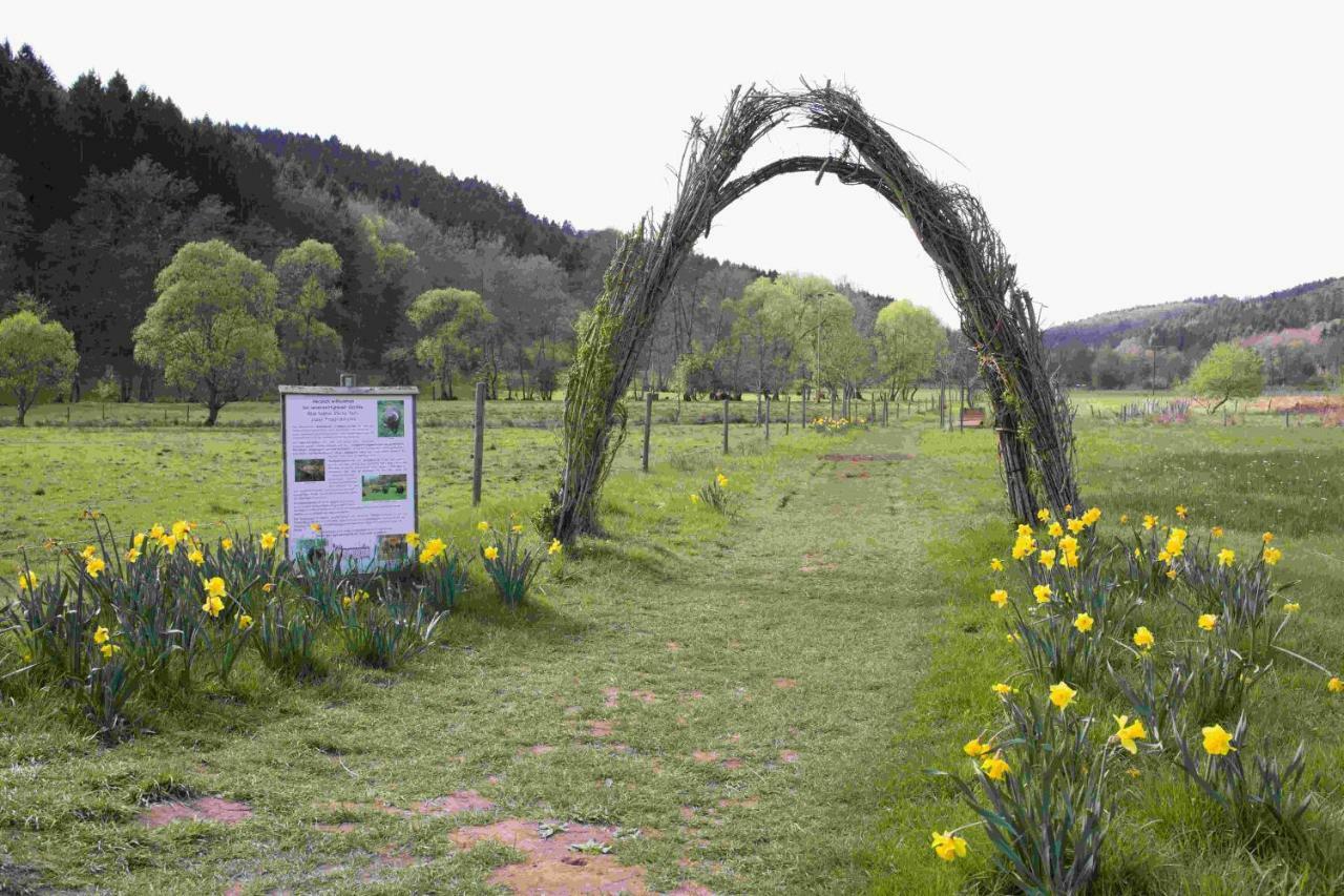 Ferienhaus Salmtal Himmerod Grosslittgen Luaran gambar