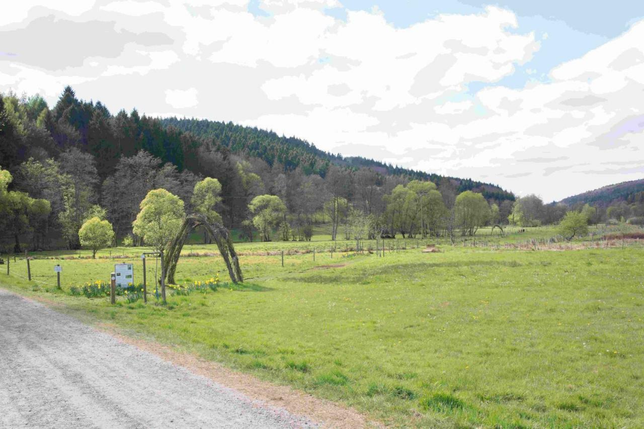 Ferienhaus Salmtal Himmerod Grosslittgen Luaran gambar